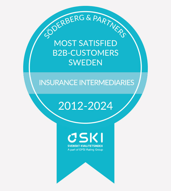 SKI LOGO